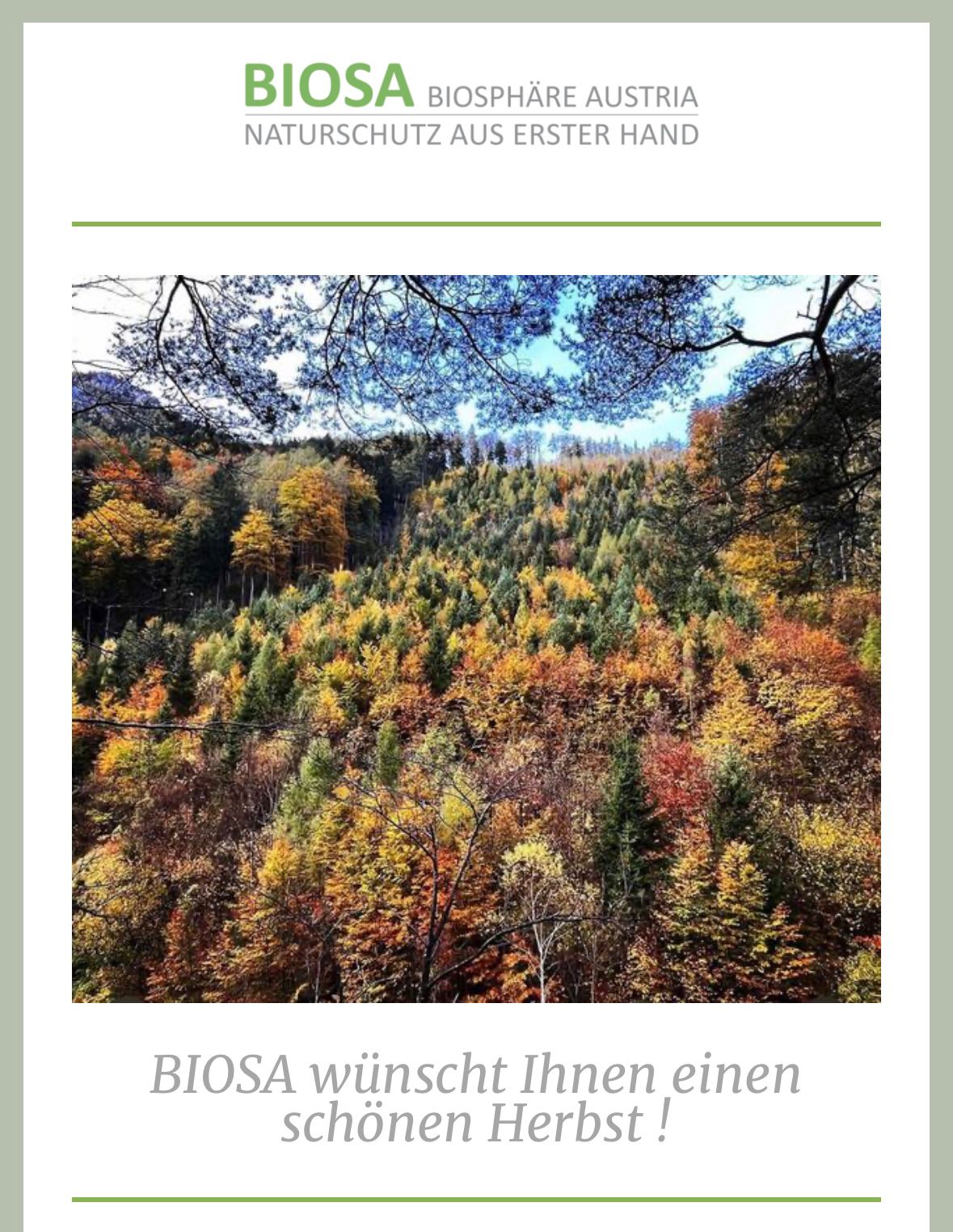 Herbsr Newsletter