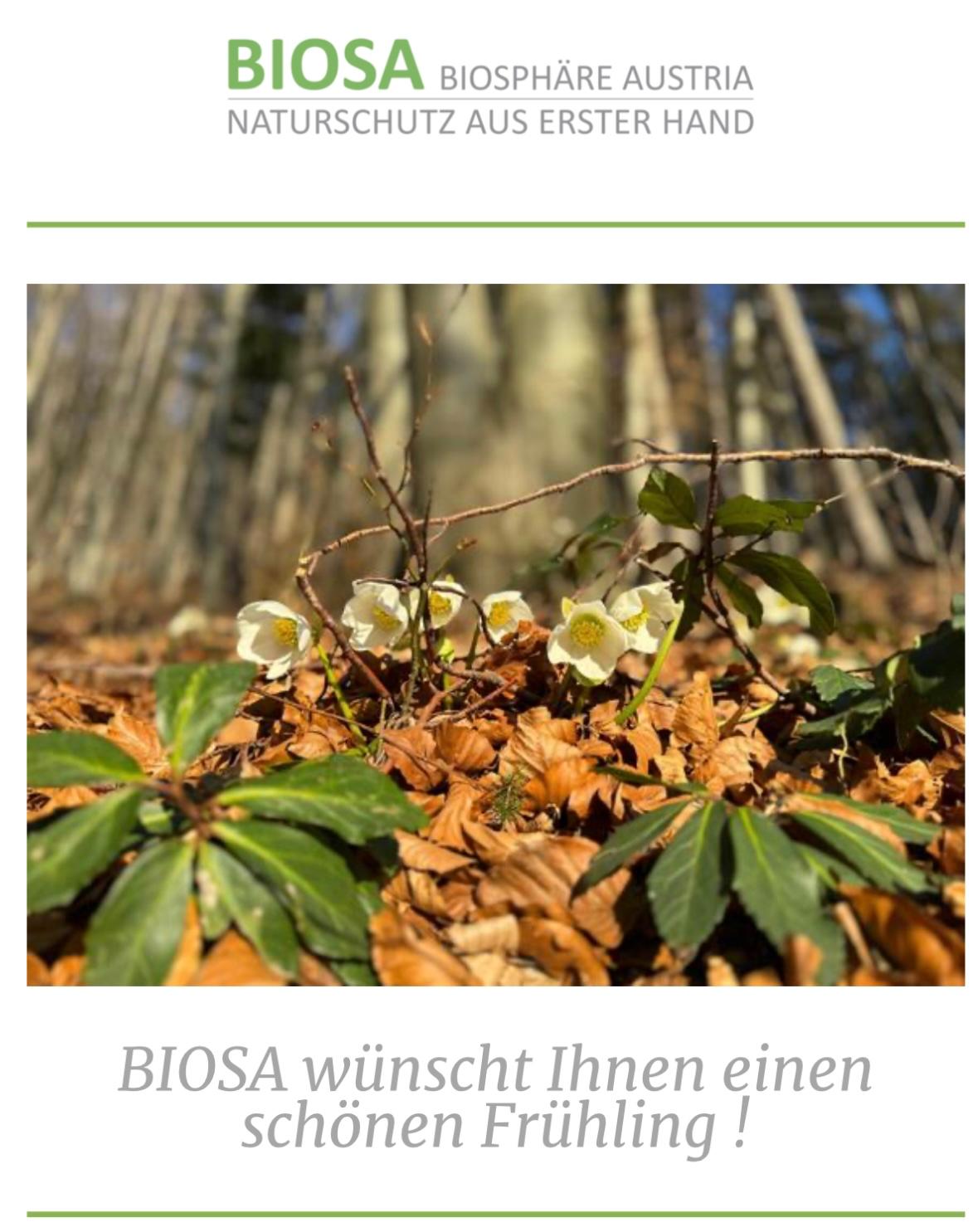 Newsletter 1 25